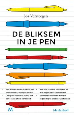 Bliksem in je pen (Paperback)