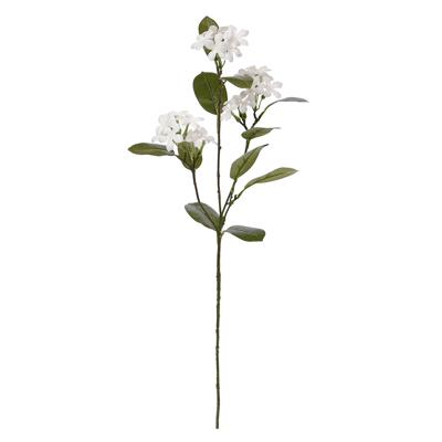Stephanotis kunstbloem 70cm wit