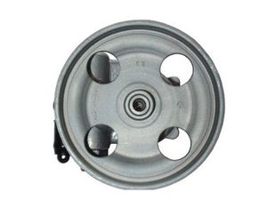 Servo pomp 54181