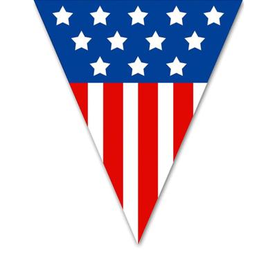 Vlaggenlijn USA - 5 meter - plastic - Amerika - United States - vlag - versiering