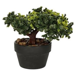 H&S Collection Kunstplant Bonsai boompje in pot - Japans - 19 cm