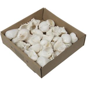 Othmar Decoratie/hobby schelpen mix - 2x 500 gr - naturel wit - woondecoratie - thema decoratie