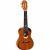 Ortega Eclipse Series ECLIPSE-CC4 concert ukelele met gigbag