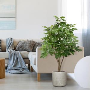 Vijgen kunstboom 120cm