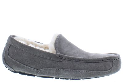 Ugg Ascot 1101110 GREY Grijs maat 42