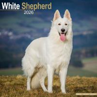 Witte Herder Kalender 2026