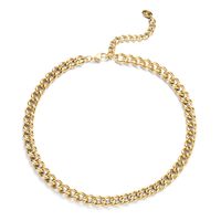 CO88 8CN-26215 Ketting Gourmet staal goudkleurig 9 mm 40-47 cm