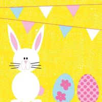 Duni servetten bunny & eggs 3-laags 33x33