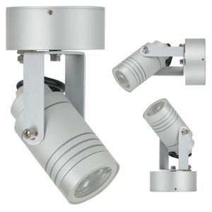 Beamer Plafond- & Wandspot Zilver met LED