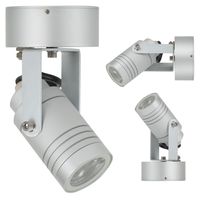 Beamer Plafond- & Wandspot Zilver met LED