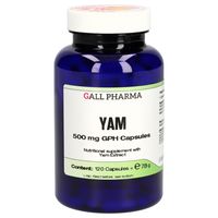 Yam 500 mg GPH (120 Capsules) - Gall Pharma GmbH - thumbnail