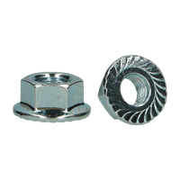 pgb-Europe PGB-FASTENERS | Gekartelde moer Kl8 D6923 M12 Zn | 100 st 0000GM80101203
