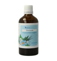 Chamomilla vulgaris tincturen