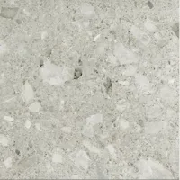 Florim Timeless 744869 Vloertegel 600X600 Ceppo di Gre 9Mm Mat Ret.R9