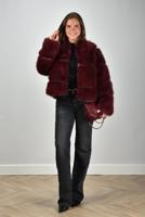 APParis jas Sai F5CT342MRL merlot APParis jas Sai F5CT342MRL merlot
