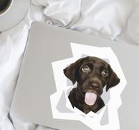 Laptopticker dieren honden hoofd