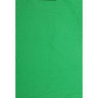 Falcon Eyes Achtergronddoek BCP-10 2,9x5 m Chroma Groen Uitwasbaar