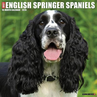 Engelse Springer Spaniel Kalender 2026 Engelse Springer Spaniel Kalender 2026