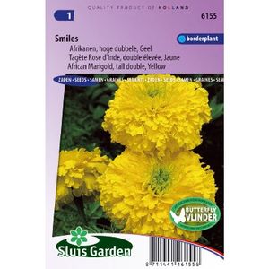 Tagetes Erecta zaden Smiles afrikaan