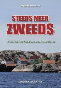 Steeds meer Zweeds - Angelien Motzheim - ebook