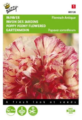 Papaver Flemish Antique Tuinplus - Buzzy