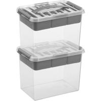 Opberg box/opbergdoos met vakverdeling - 2x - tray 9 liter - transparant/zilver - 30 x 20 x 22 cm