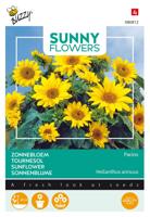 Zaden Sunny Flowers Zonnebloem Pacino Gold Buzzy - Buzzy