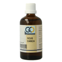 Ficus carica bio 100 Milliliter