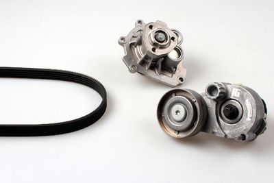 Waterpomp + multiriemset PK03631