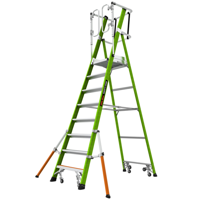 Little Giant Safety Cage | 8 Treden - 48416608