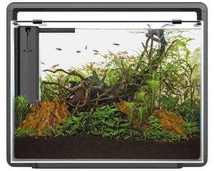 Superfish Home 85 Zwart Aquarium 80L - LED-verlichting en Filter Inclusief, Design & Gebruiksgemak