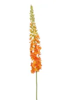 Emerald kunsttak eremurus 130cm oranje Emerald kunsttak eremurus 130cm oranje