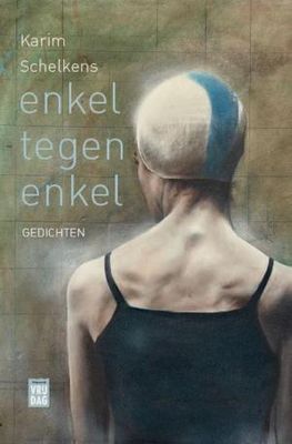 Enkel tegen enkel - Karim Schelkens - ebook