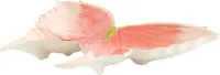 Light & Living schaal keramiek butterfly 26.5x24.5x3.5cm roze