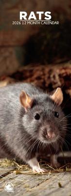 Ratten Slimline Kalender 2026