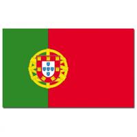 Vlag Portugal - 90 x 150 cm - Portugese Vlag - Portugal