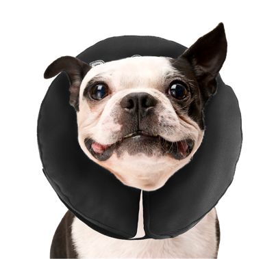 Zenpet ProCollar Hondenkraag M