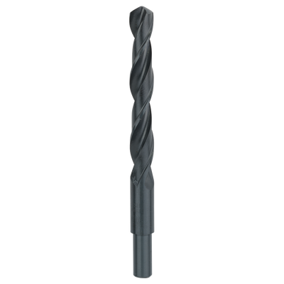 Bosch Accessoires Metaalboor HSS-R | 15X114X169mm | DIN 338 - 2609255025