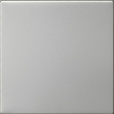 GIRA S3000 BEDIENELM 55 EDLSTL
