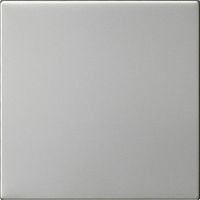 GIRA S3000 BEDIENELM 55 EDLSTL