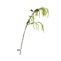 Amaranthus spray 100cm green