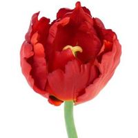 Tulp rood deluxe 25 cm Kunstbloem   -