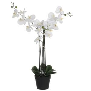 Mica Decorations Orchidee bloem kunstplant - wit - H75 x B50 cm   -