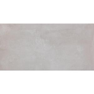 Beste Koop Icon Vloertegel 300X600 Silver 9mm Mat Ret.R9