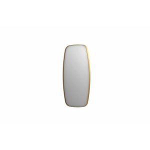 INK SP29 spiegel - 50x4x100cm contour in stalen kader - geborsteld mat goud 8409652
