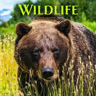 Wildlife Kalender 2026