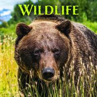 Wildlife Kalender 2026