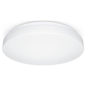 RS PRO P1 #069698  - Ceiling-/wall luminaire RS PRO P1 069698
