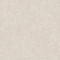 Dutch Wallcoverings Sahara - Tenere Ivory - Beige
