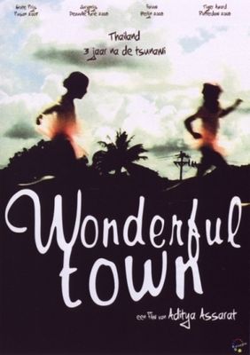 Wonderful Town - DVD (9789058495174)